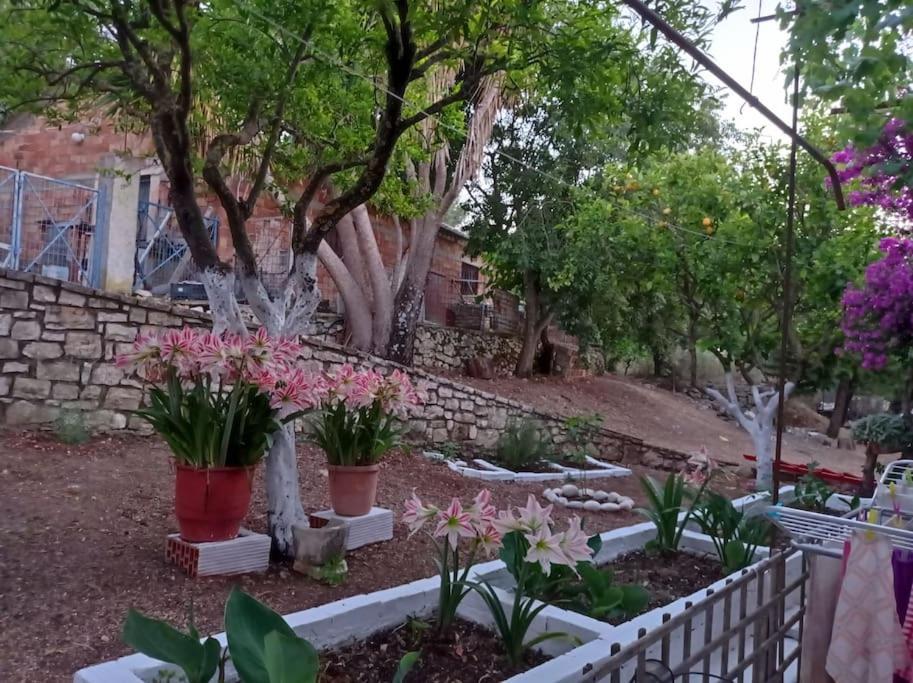 Villa Lidi Stavros  ภายนอก รูปภาพ