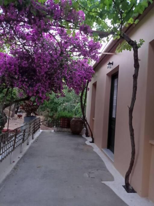 Villa Lidi Stavros  ภายนอก รูปภาพ