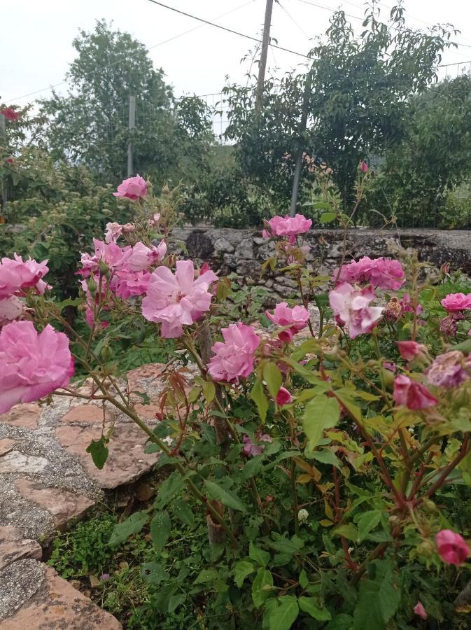 Villa Lidi Stavros  ภายนอก รูปภาพ