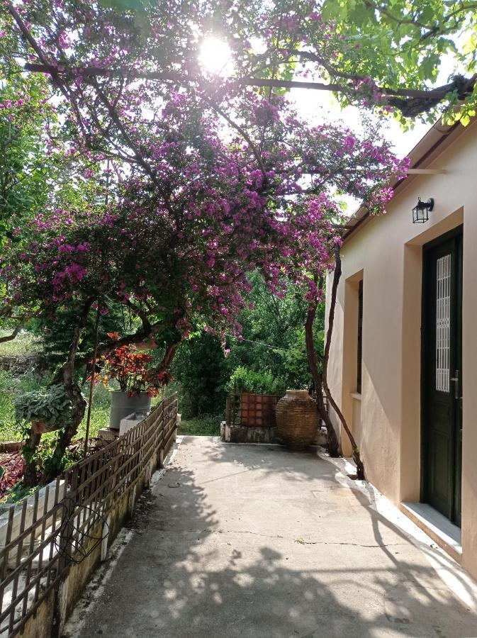 Villa Lidi Stavros  ภายนอก รูปภาพ