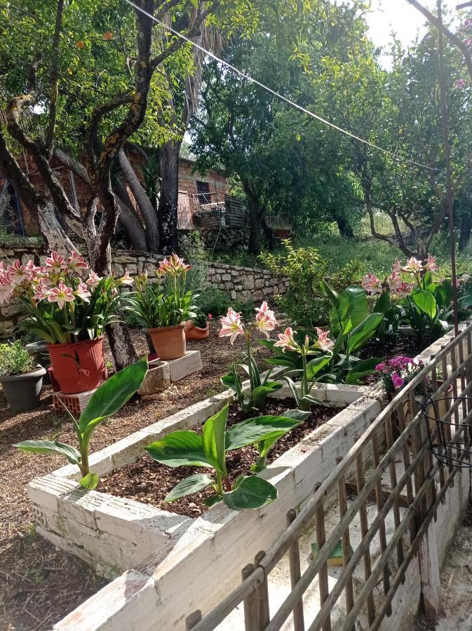 Villa Lidi Stavros  ภายนอก รูปภาพ